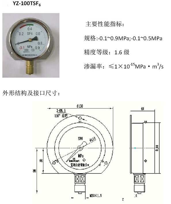 YZ-100T型SF6气体压力表