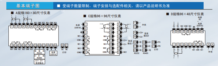 WPD2双通道数显表