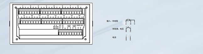 WPLC温度巡检仪(经济型)