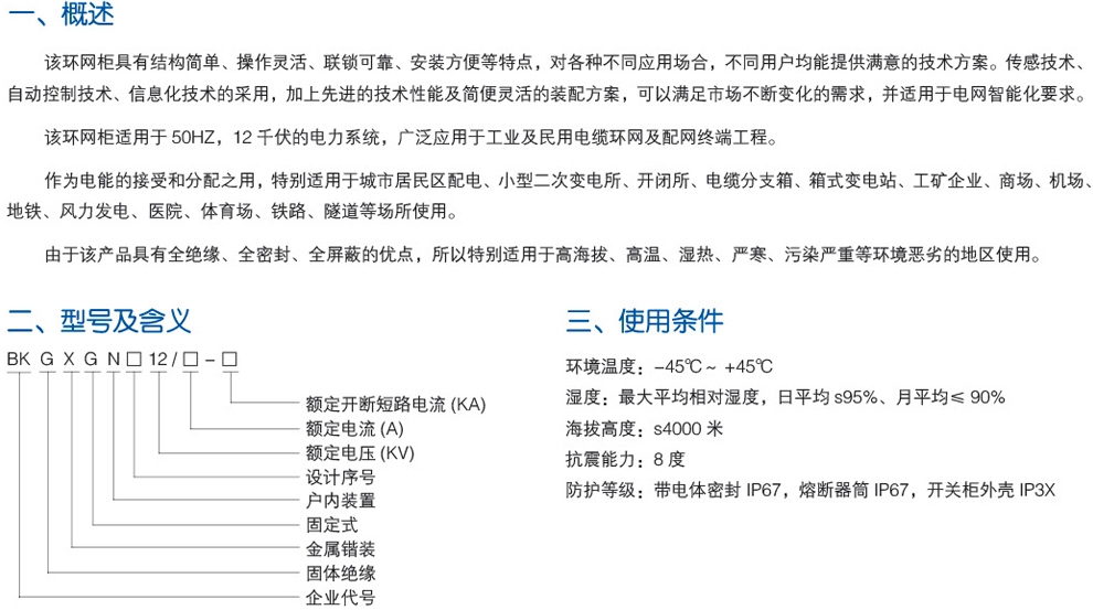 BKGXGN-12全封闭全绝缘固体环网柜